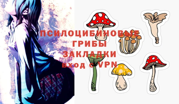 тгк Абдулино