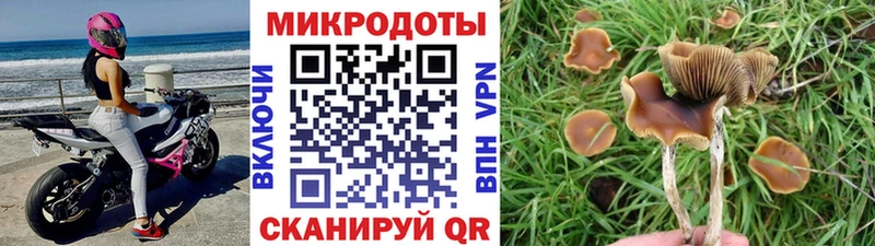 это формула  Фурманов  Псилоцибиновые грибы GOLDEN TEACHER  mega как войти 